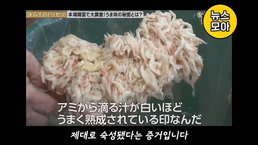 베스트 혐한 김치방송 앞부분을 알아보자_8.jpg