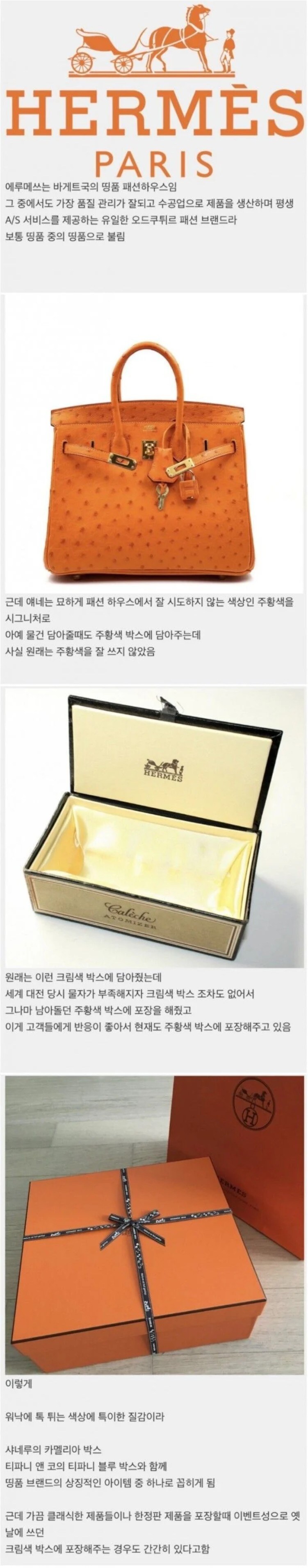에르메스의 상징 색깔이 주황색이 된 이유.jpg_1.jpg