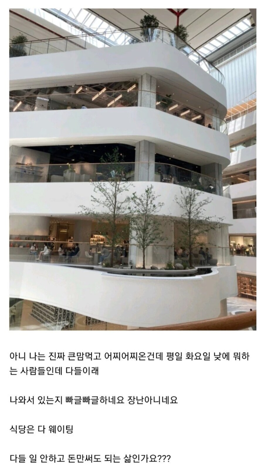 평일에 더현대 백화점 갔다가 충격받았다는 직장인_1.jpg