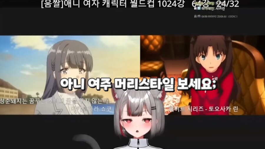 버튜버,페이트)토오사카 린 비난에 긁혀버린_3.png