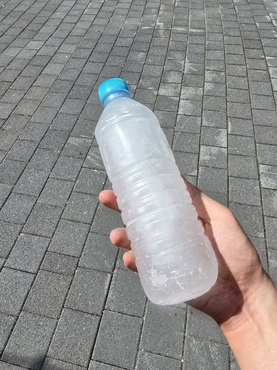 일기) 갑자기 동물이 보고싶어 서울동물원으로 출발_3.jpg