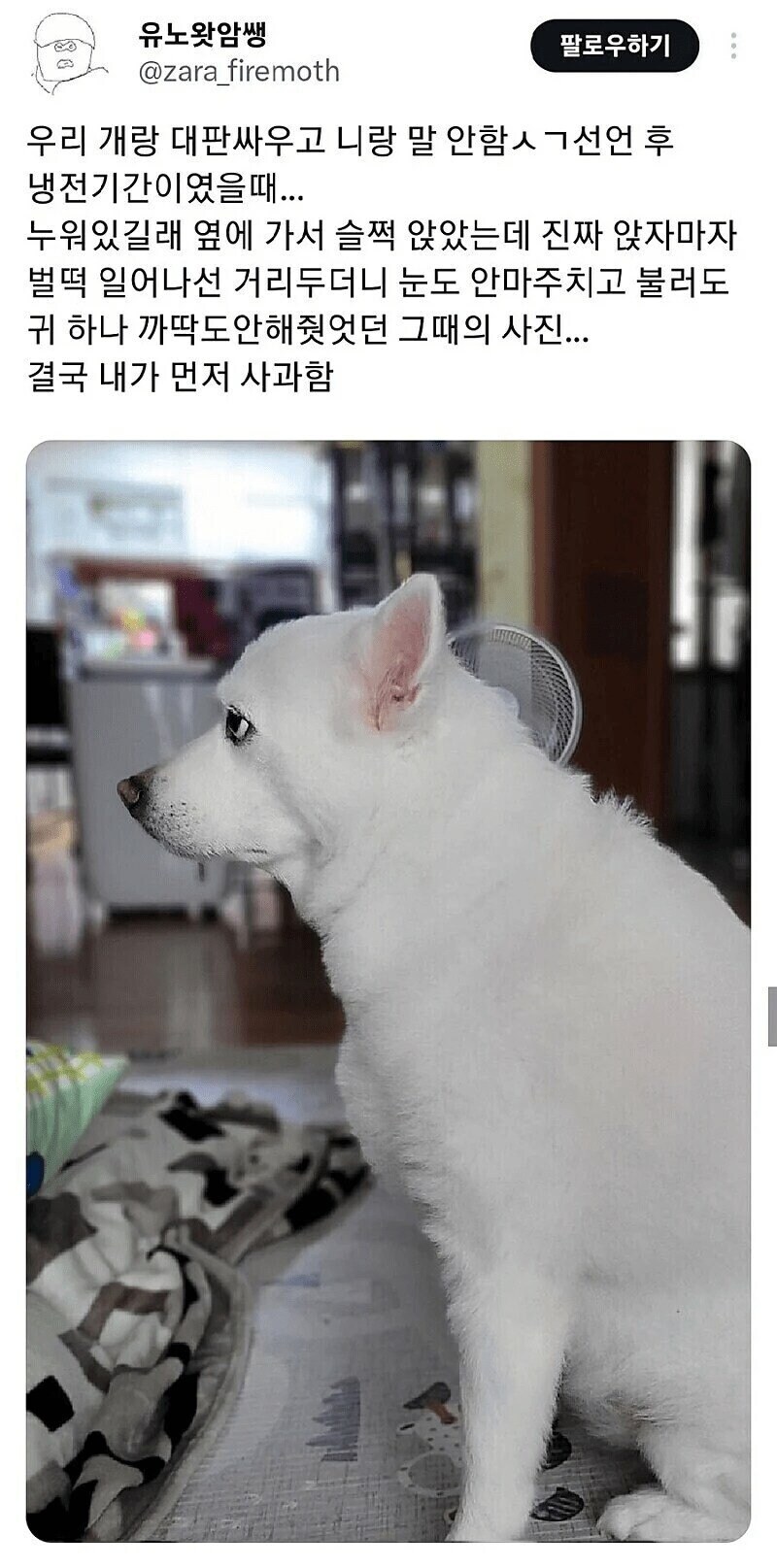댕댕이 존나 빡친모습_1.jpg