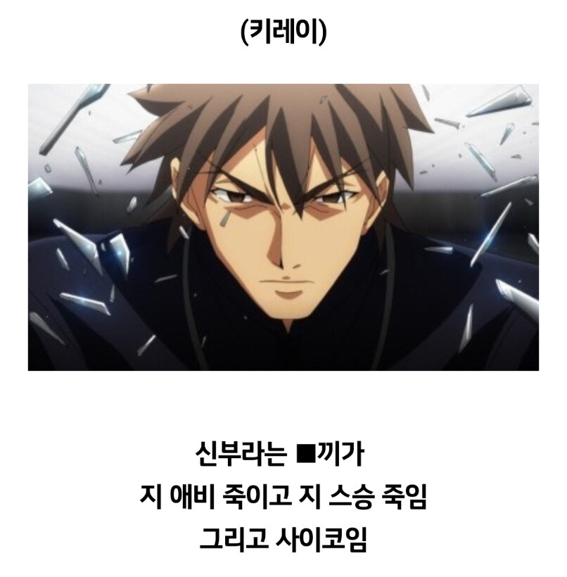 페이트 제로를 추천대로 다 본 뉴비의 후기.jpg_4.png