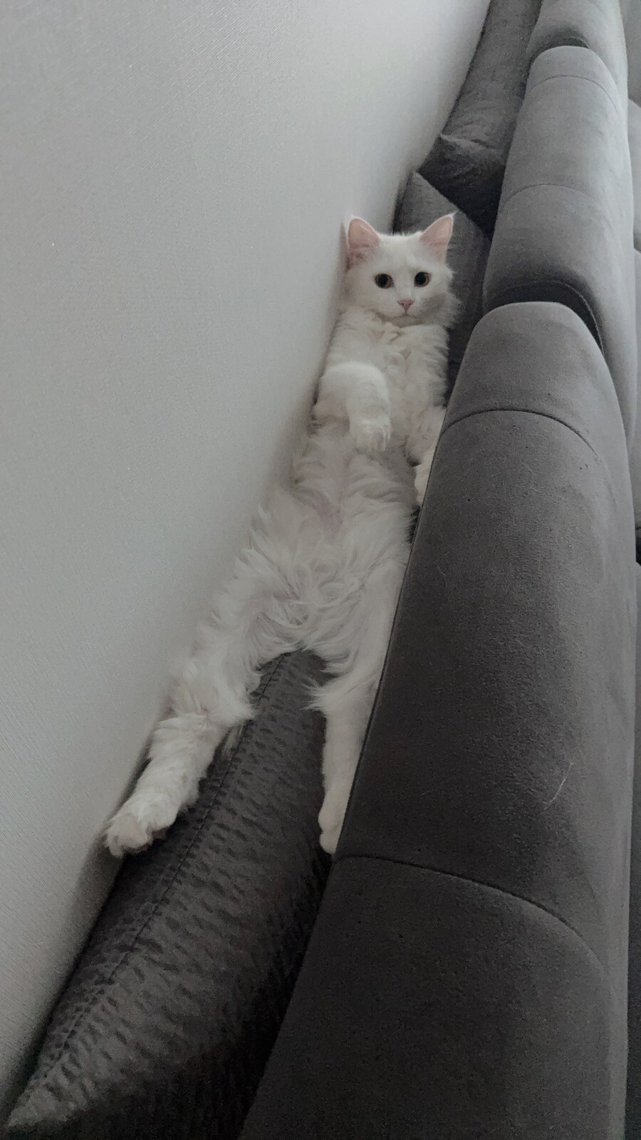 정은 주지 않겠다고 생각한지 500여일째_42.jpg