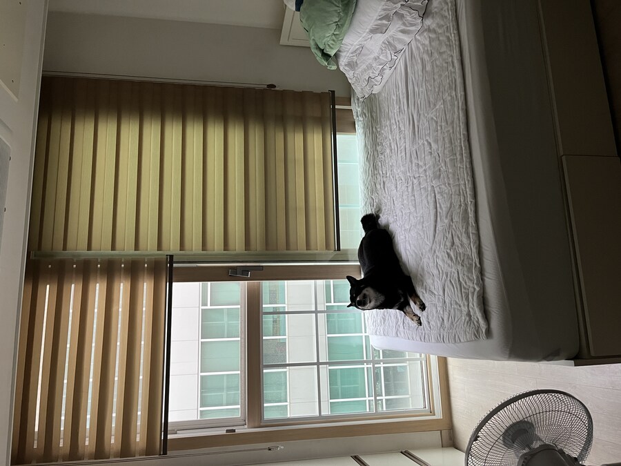베글 가능하냐?_12.jpg