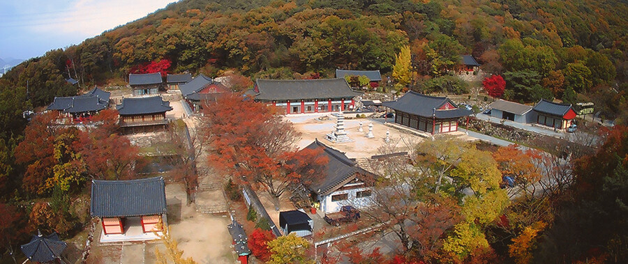 곰의 도움을 받아 지었다는 "곰절" 성주사에 대한 인상 변화_1.jpg