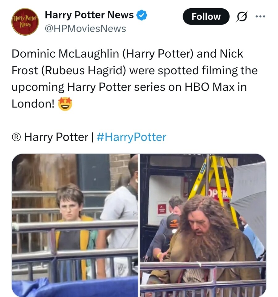 해리포터) 암만 봐도 해그리드 한대 때린거 같은 해리_1.jpg