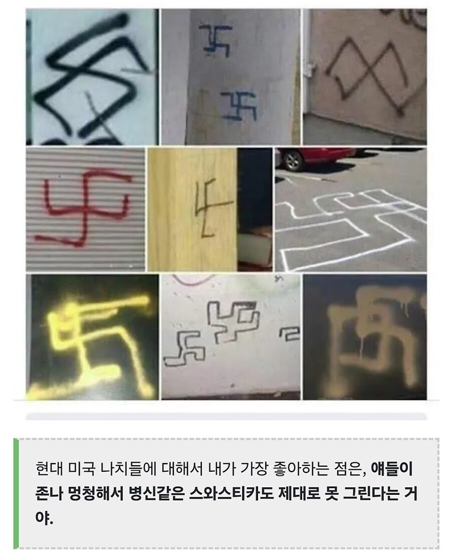 나치 추종자들의 장점._1.jpg