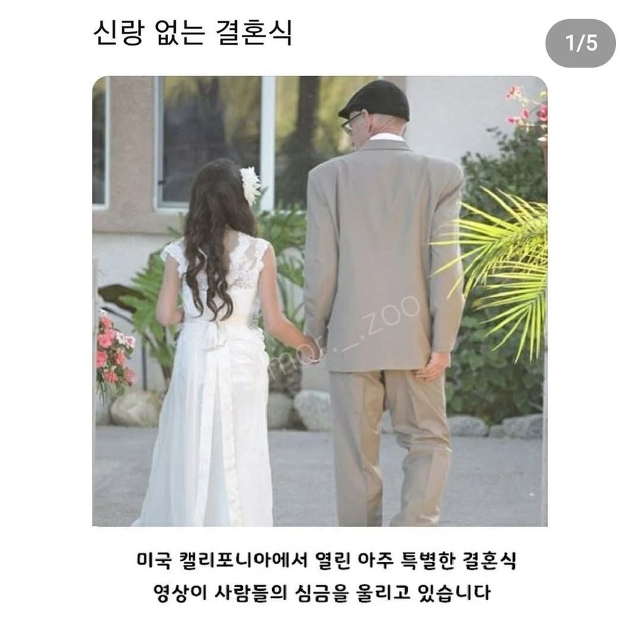 신랑없는 결혼식_1.webp