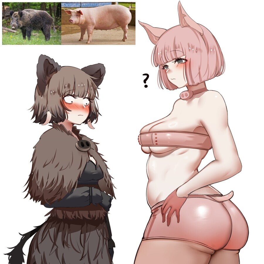 늑대, 멧돼지 : 이딴게 내 후손?!_2.jpg