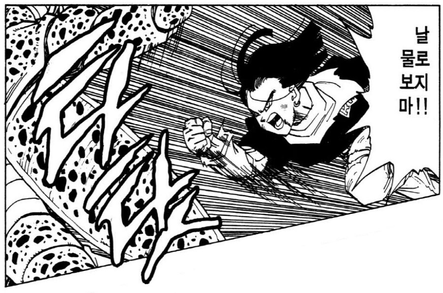 드래곤볼 무삭제판 번역의 다른 문제점_2.jpg