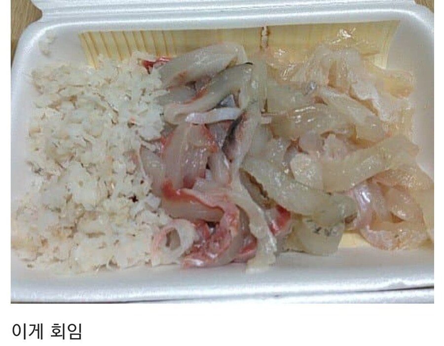부산에서 회라는건 서울이랑 다른거임_2.jpg