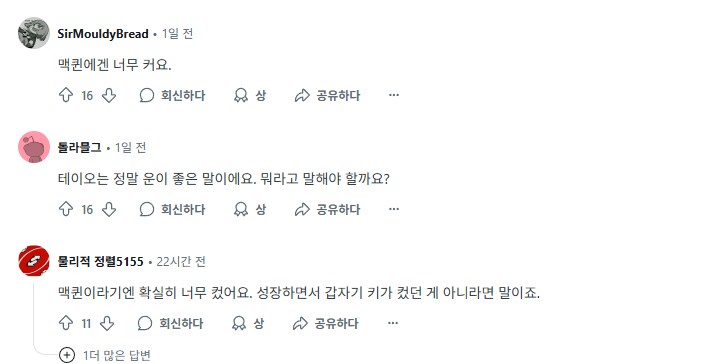 [말딸] 흔한 팬아트에 대한 레딧 반응_2.png