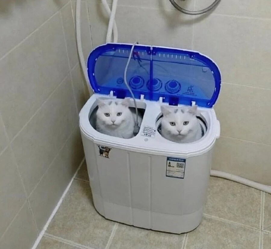 에어팟을 샀는데 이상해요_1.jpg