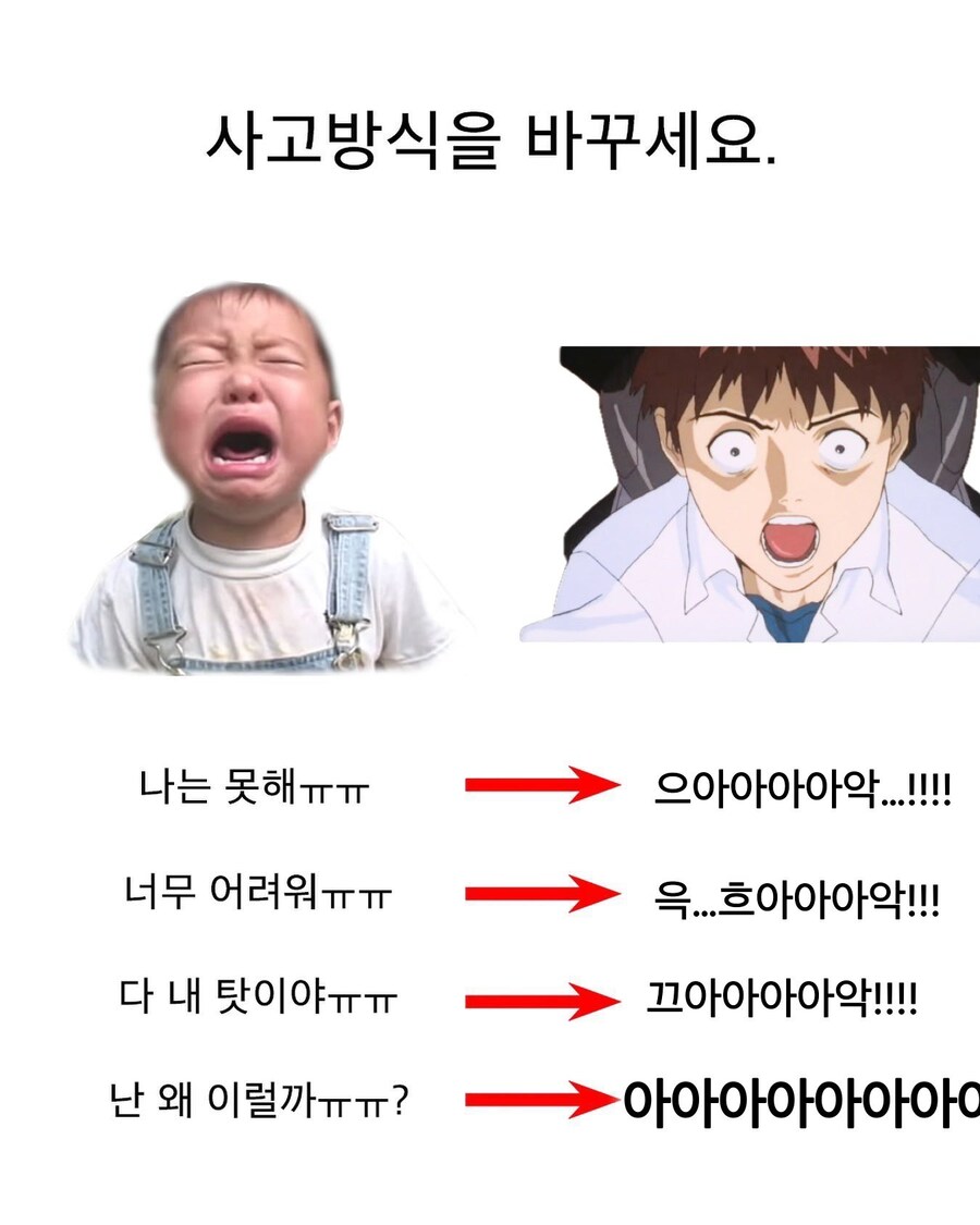 사고방식 짤 모음_8.jpg