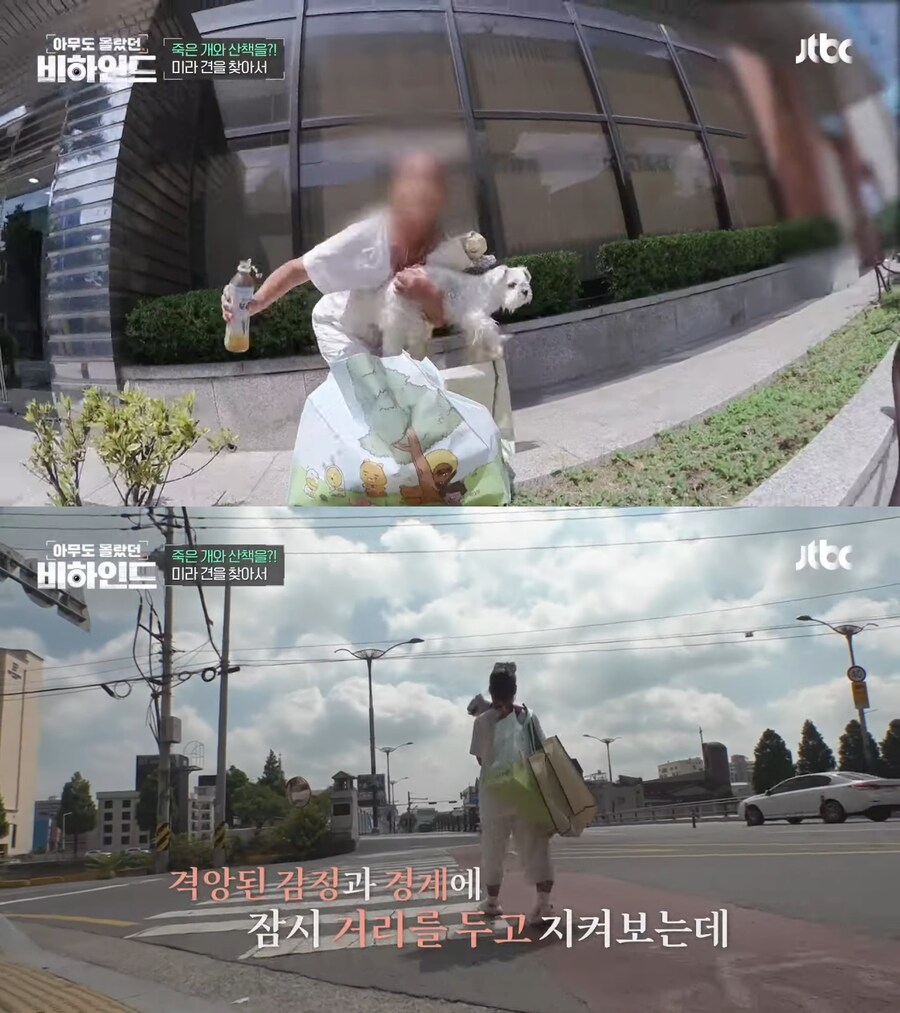 매일 죽은 개를 안고 다니는 여자의 사연_4.jpg
