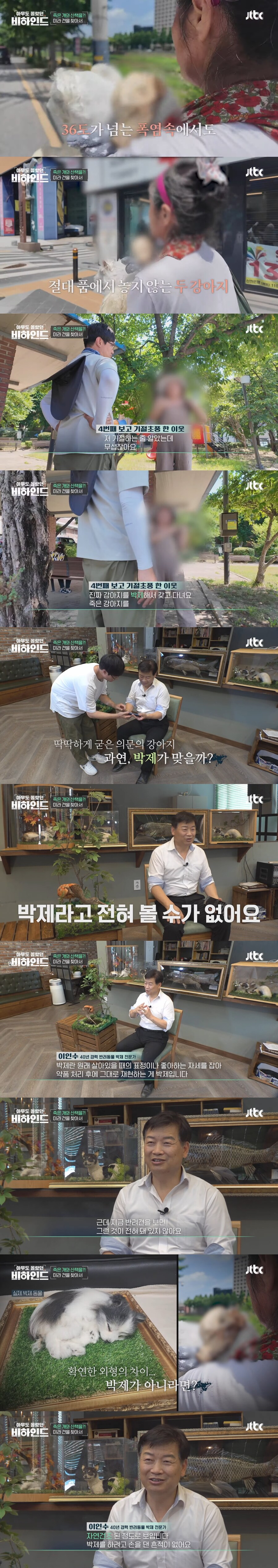 매일 죽은 개를 안고 다니는 여자의 사연_5.jpg