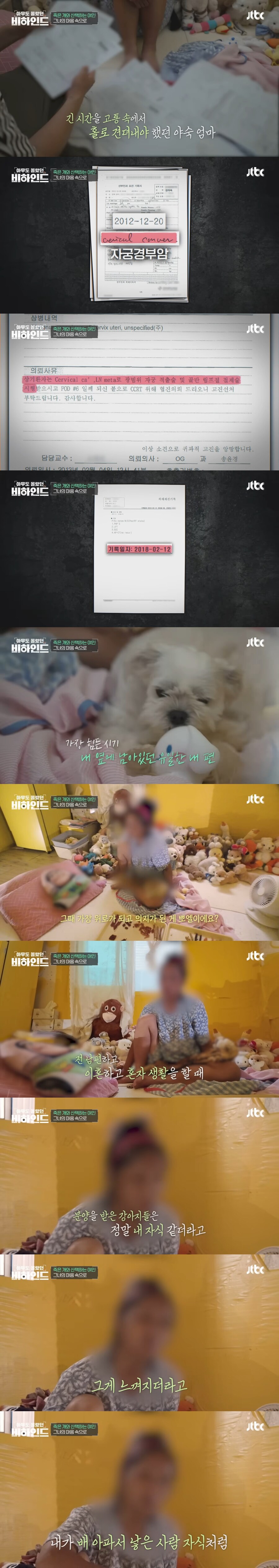 매일 죽은 개를 안고 다니는 여자의 사연_12.jpg