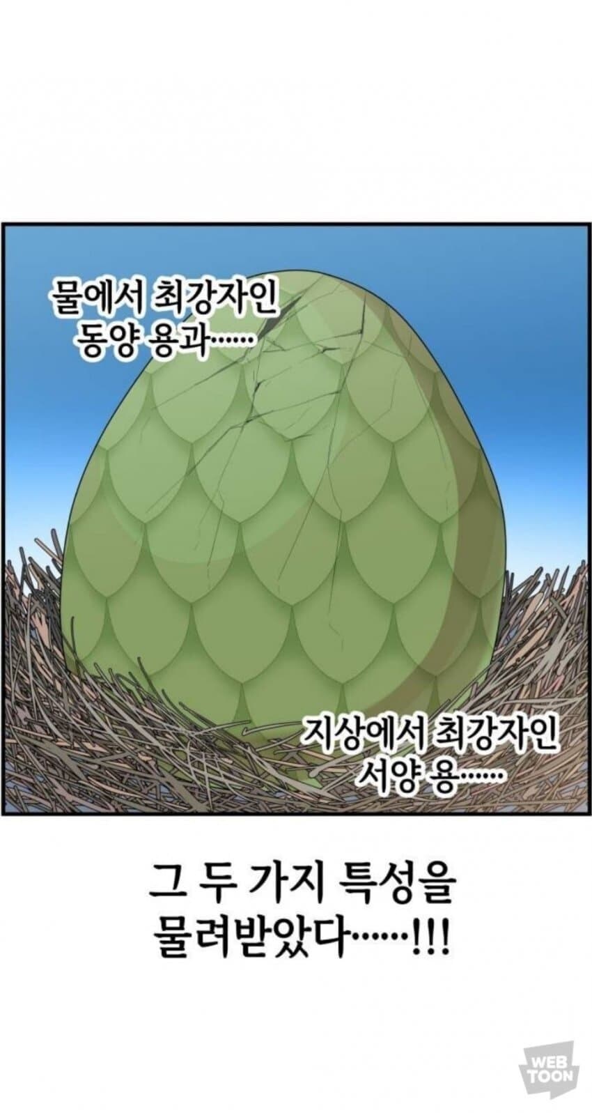 동양 용 vs 서양 용 만화_9.jpg