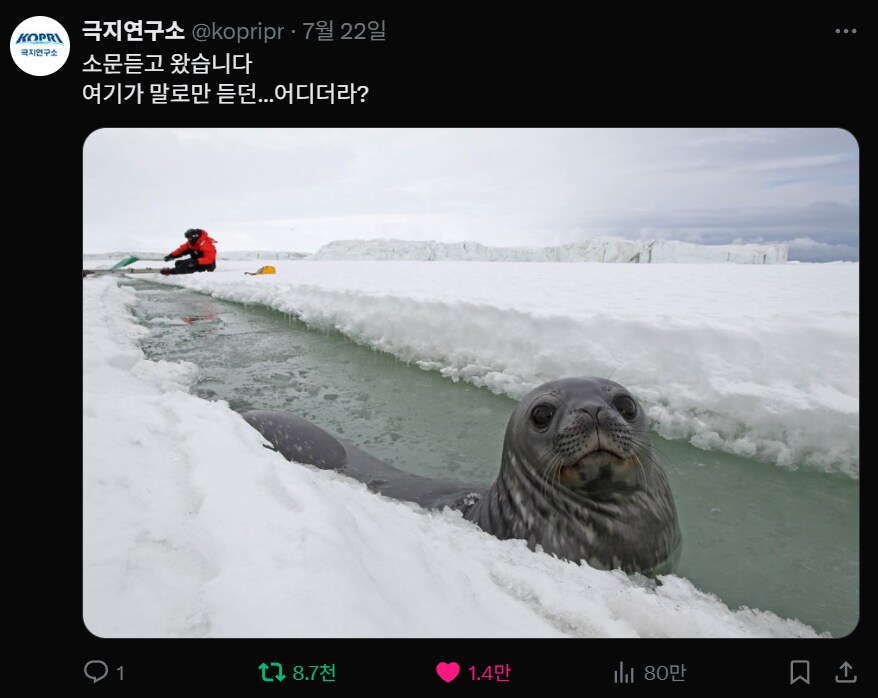 요즘 유머 감각 좋아서 자주 보는 계정_1.png