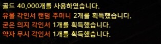 로아) 유각랜덤주머니 도박 드가자아ㅏㅏㅏ_1.png
