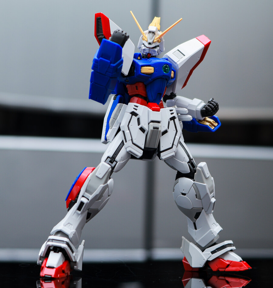 rg 샤이닝건담 조립완료!_6.jpg