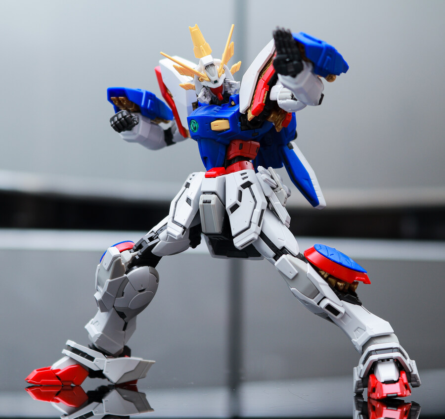 rg 샤이닝건담 조립완료!_17.jpg