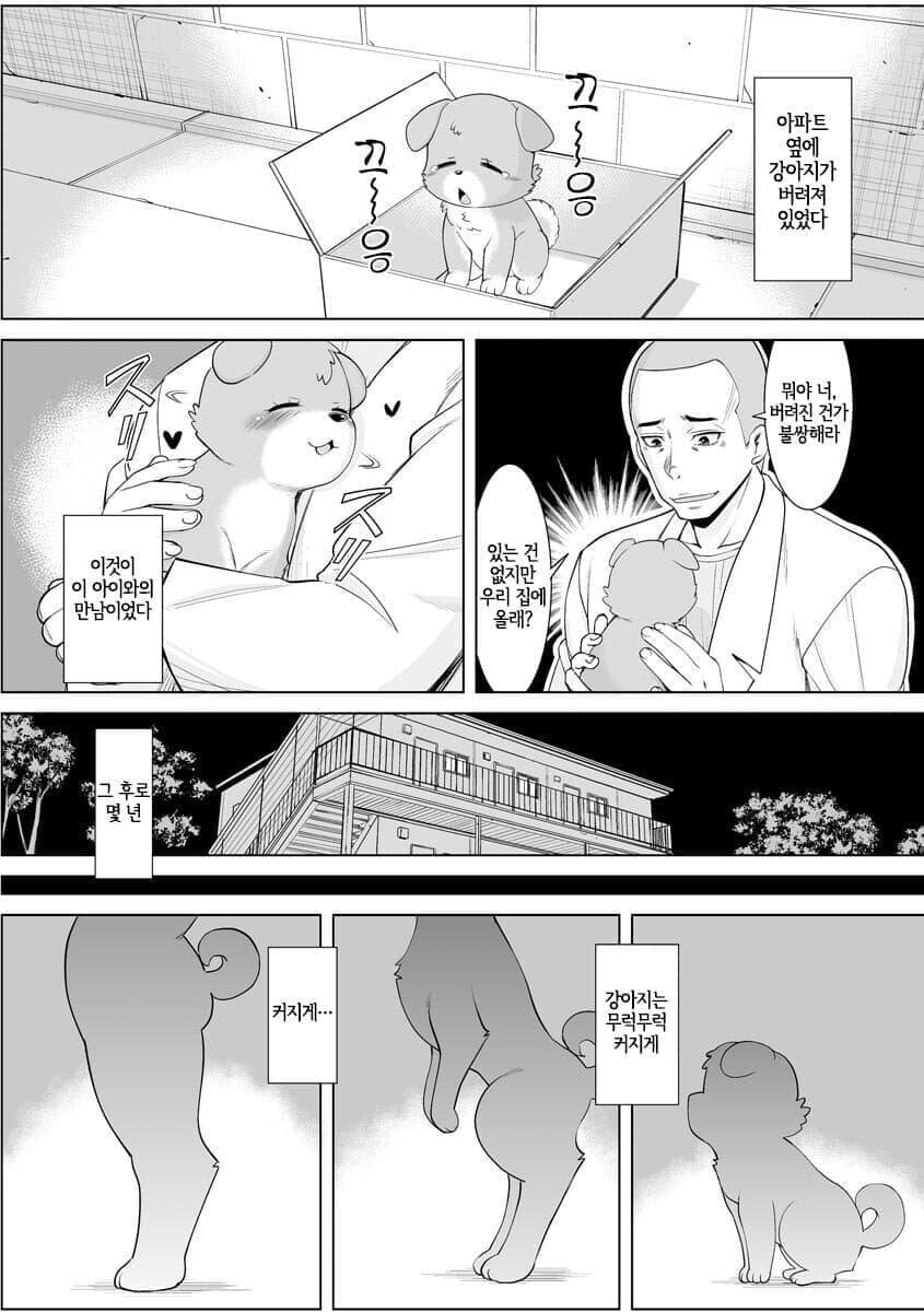 버려진 강아지가 건강히 자람_1.jpg