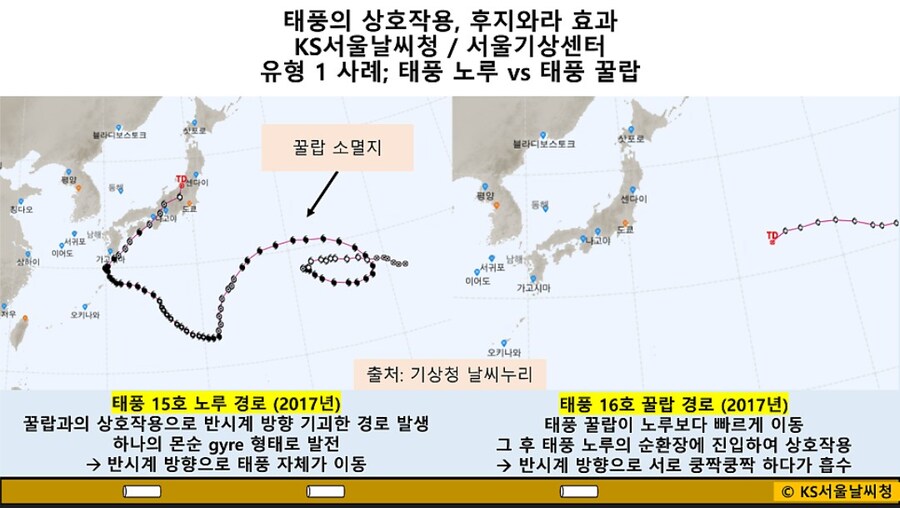 후지와라 효과에대해 알아보자_3.jpg