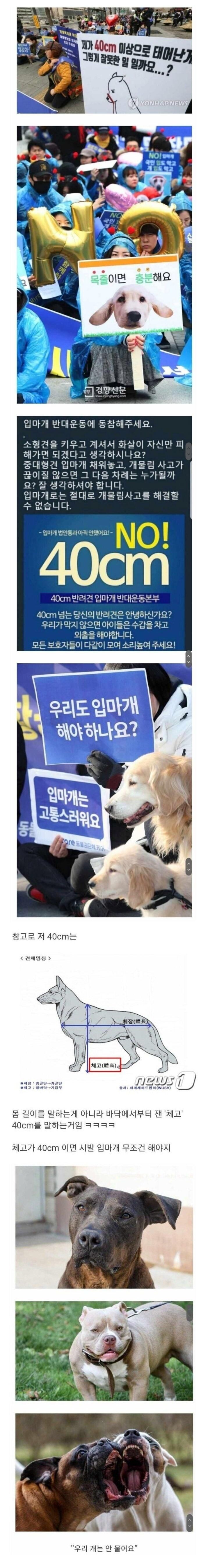 ???:제가 40cm 이상으로 태어난게 잘못인가요?.jpg_1.jpg