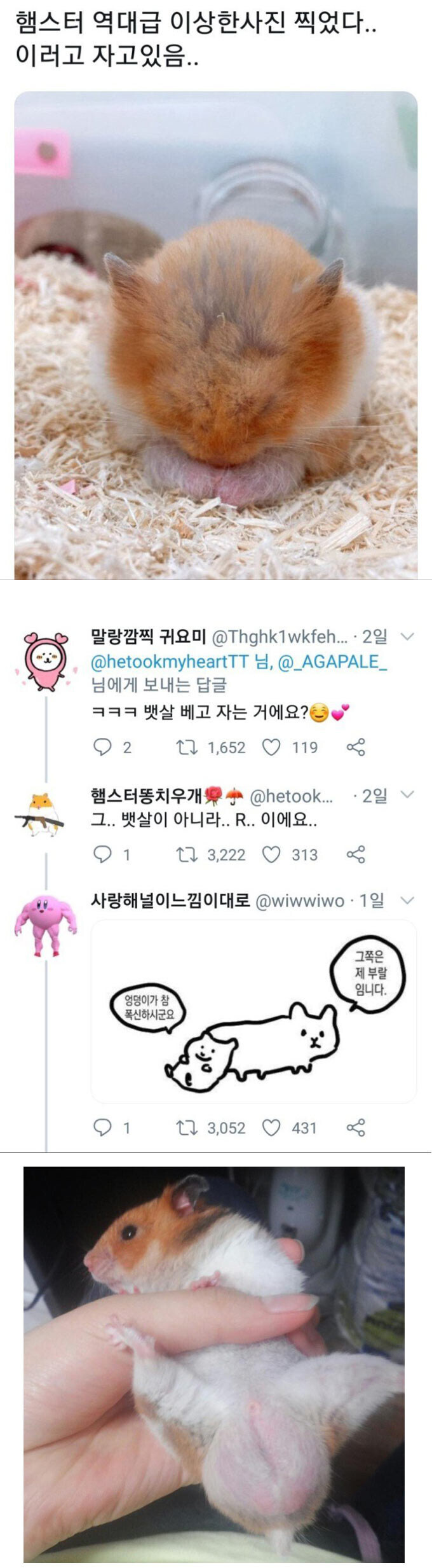 의외로 알큰이인 동물.jpg_1.jpg