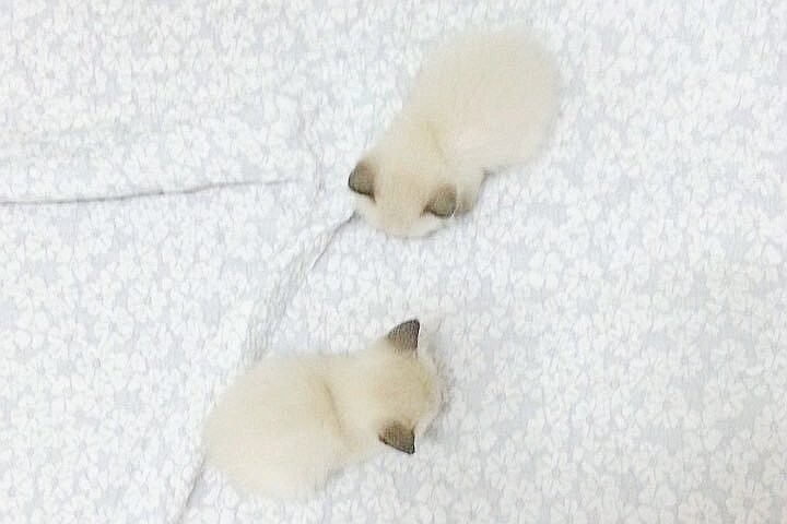 조랭이떡들.jpg_5.jpg