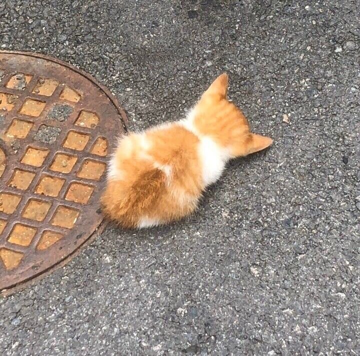 조랭이떡들.jpg_10.jpg