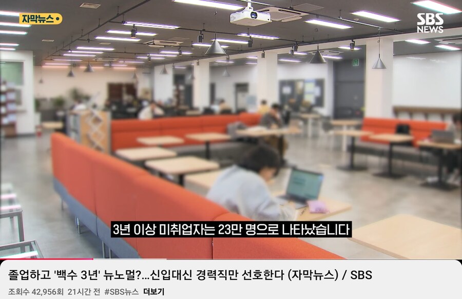 대한민국 취업 뉴메타 근황_1.png