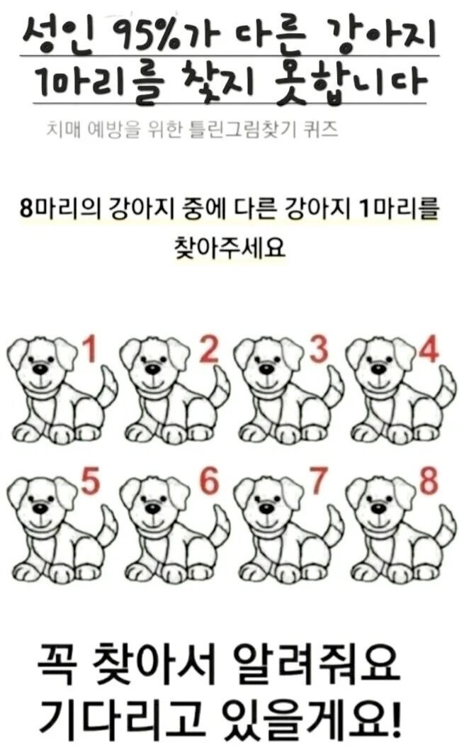 치매 예방 틀린그림찾기.jpg_1.jpg
