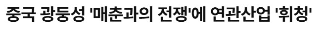 중국의 ㅅㅅ산업_3.png