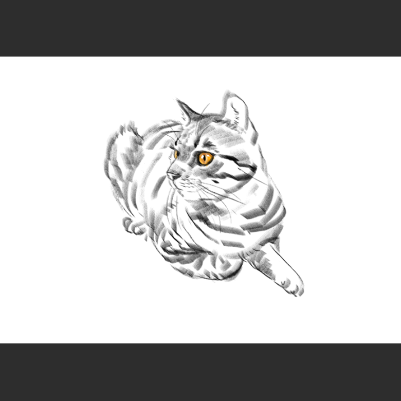 고양이)넘으집 고양이_1.png