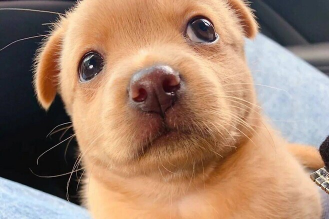 MCU)판4 후기_1.jpg