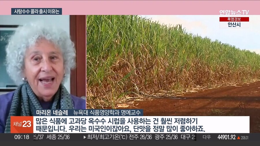 트럼프 압박에..사탕수수 설탕 콜라 출시_5.jpg