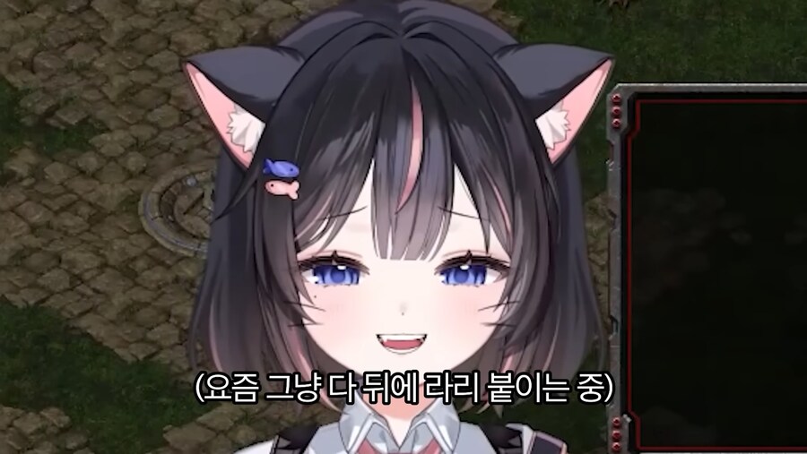 울라리가 가져온 폐해_6.jpg