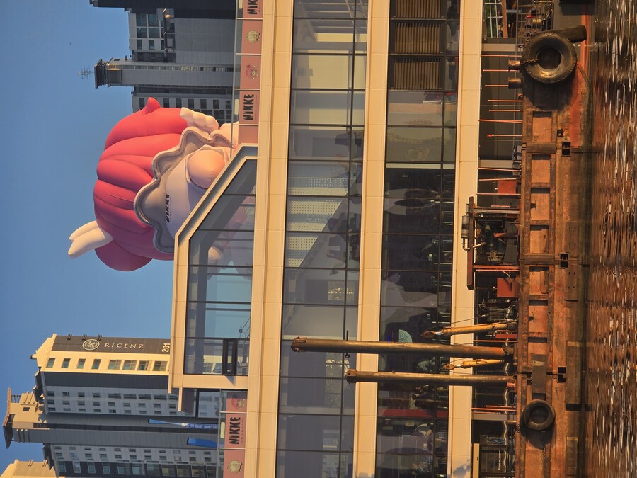 한강 도로롱 희귀한 사진.jpg_1.jpg