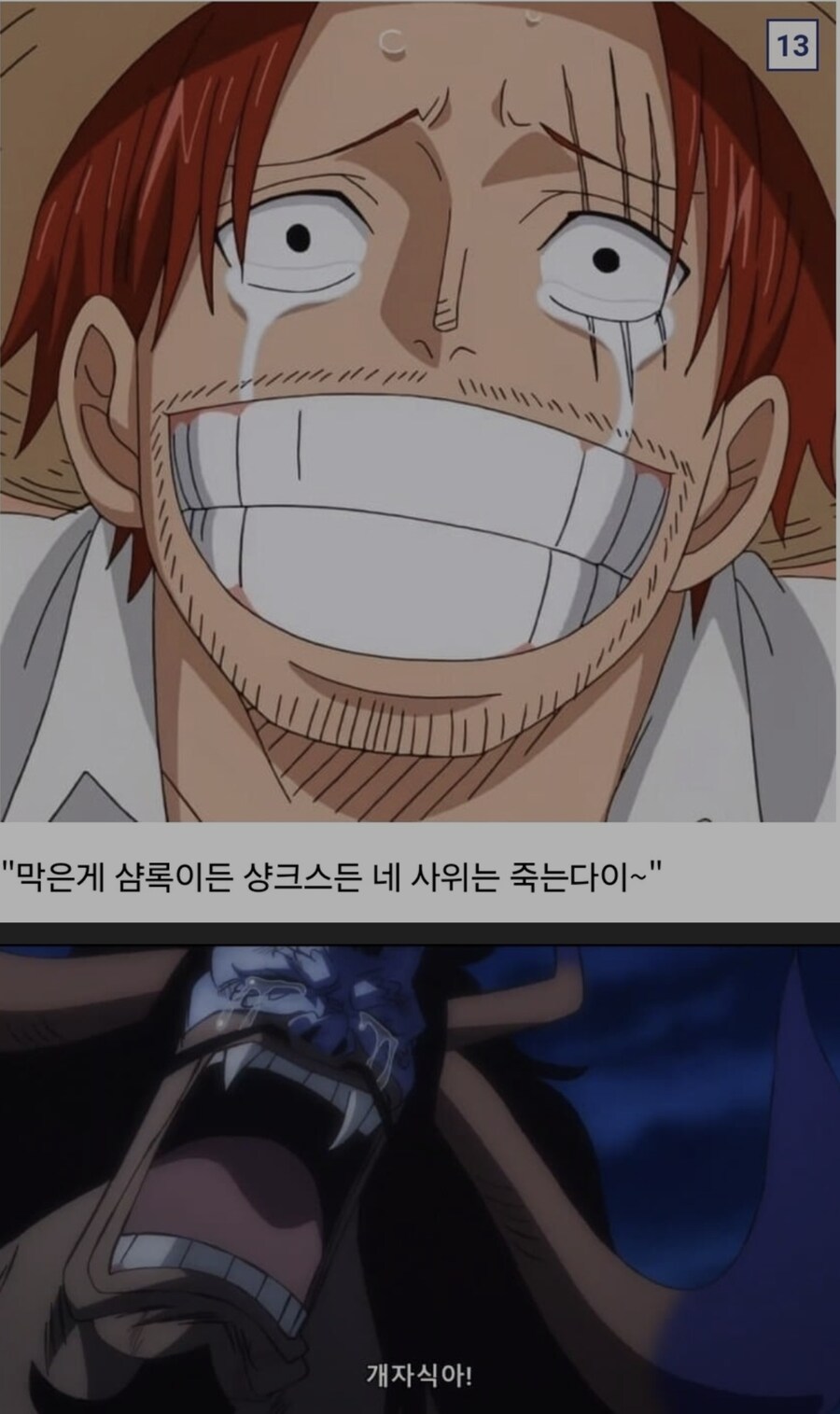 원피스)에이스, 흰수염을 도우려했던 용버지 카이도_3.png