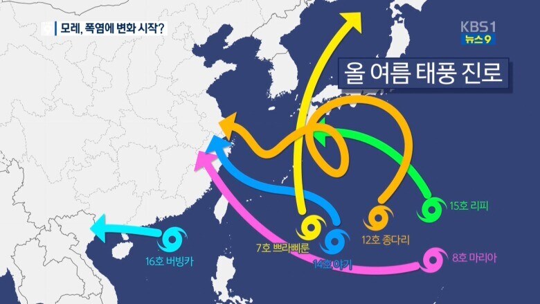여름 열돔 2018년 레전드_1.jpg