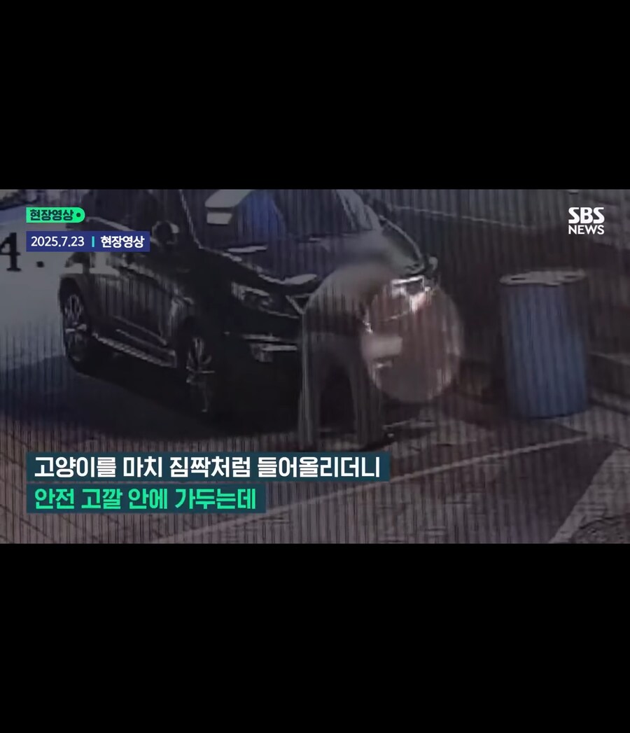 고양이가 할퀴어서 화가나 고양이를 죽인 남성_6.jpg