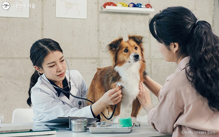 의료민영화 간접 체험 방법_1.png