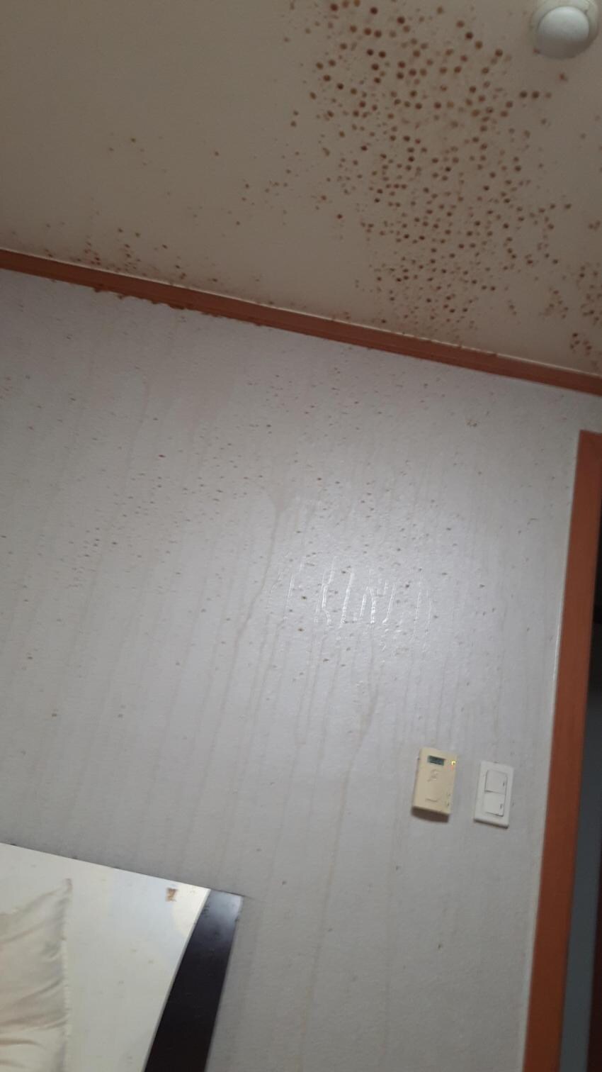 얼린 콜라의 위험성_2.jpg