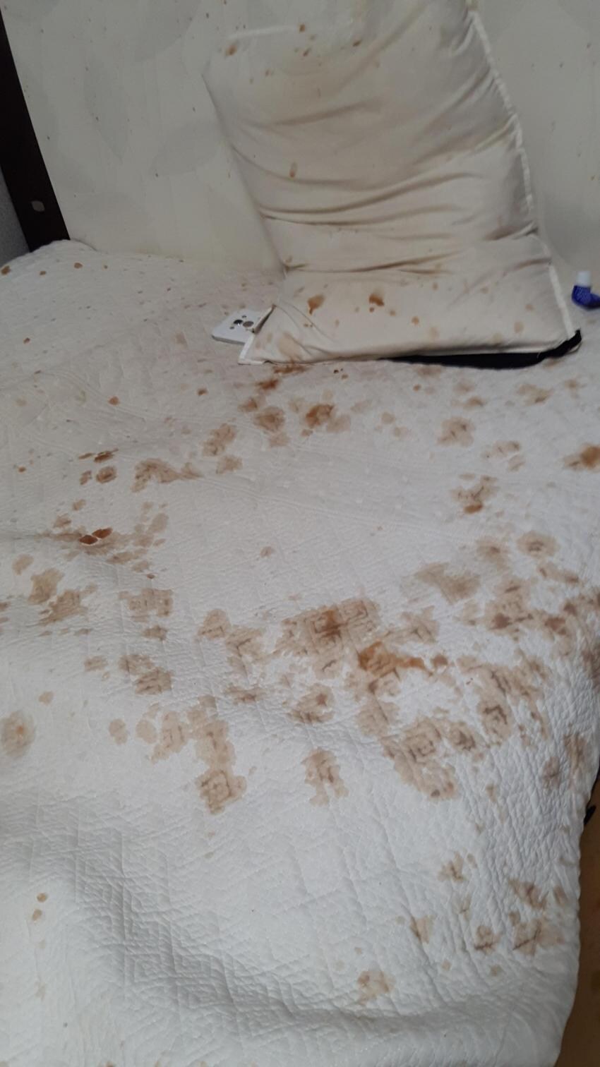 얼린 콜라의 위험성_3.jpg