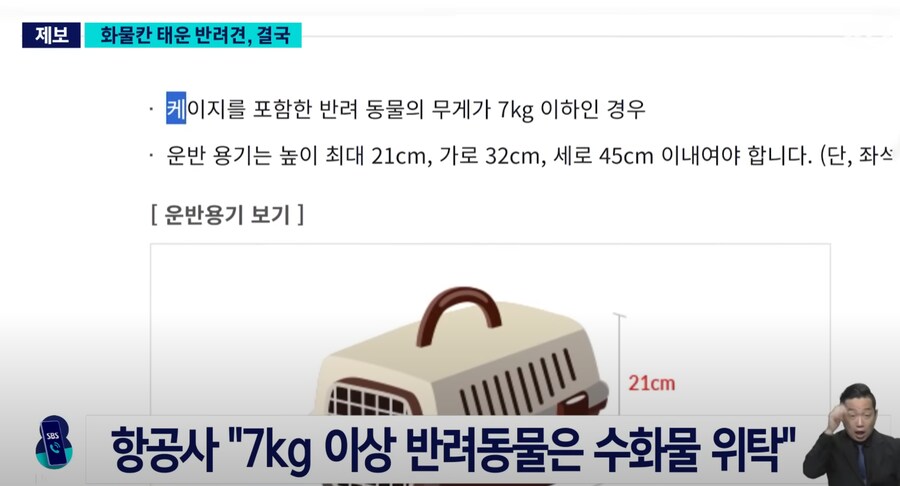어느 견주때문에 반려견이 죽은 이유_2.png