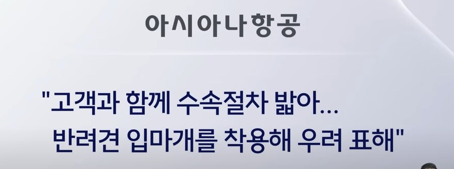 어느 견주때문에 반려견이 죽은 이유_10.png