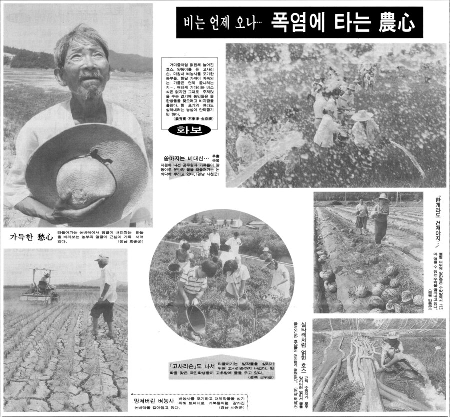 옛날신문) 아직도 전설로 회자되는 1994년 폭염_2.png